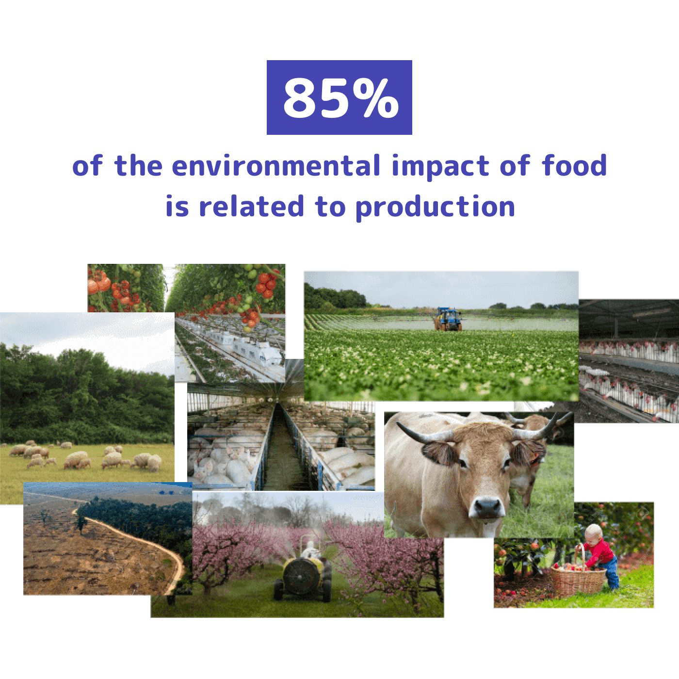 : Photo mosaic: 85% of the environmental impact is linked to production