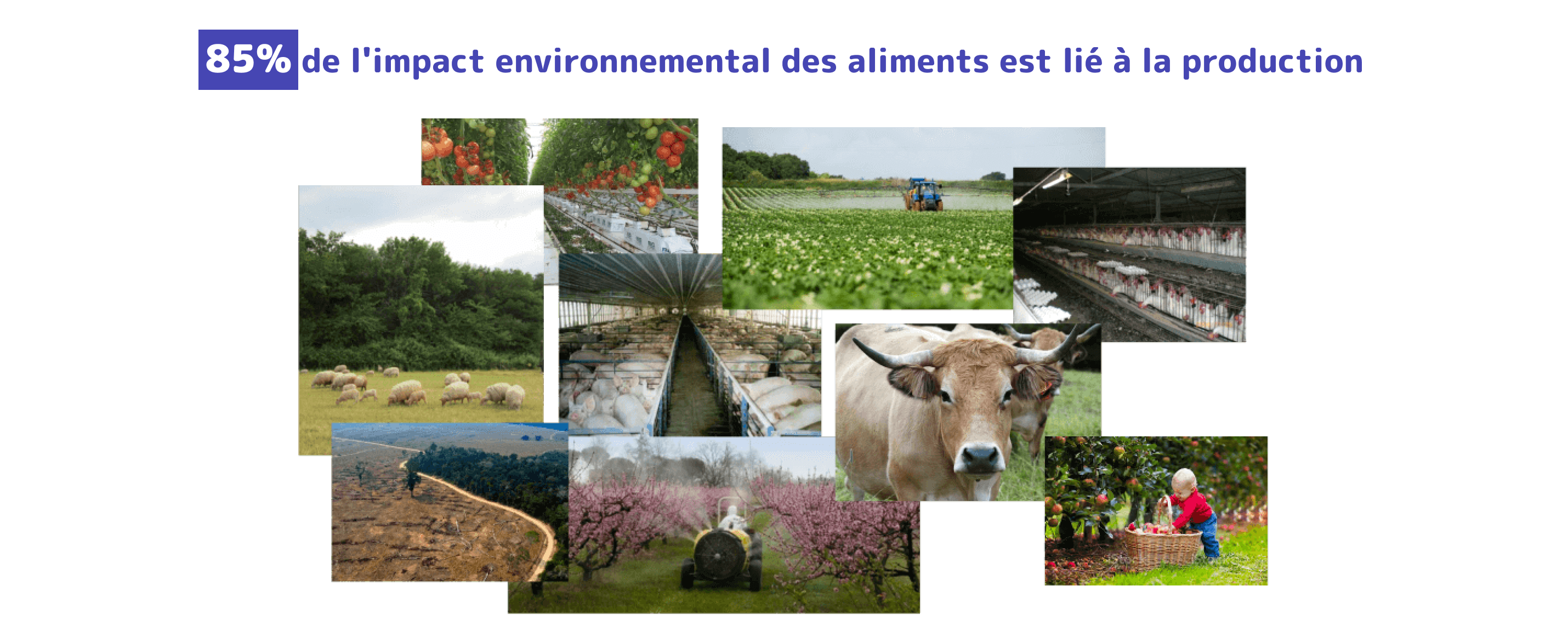 : Photo mosaïque : 85% de l’impact environnemental est lié à la production
