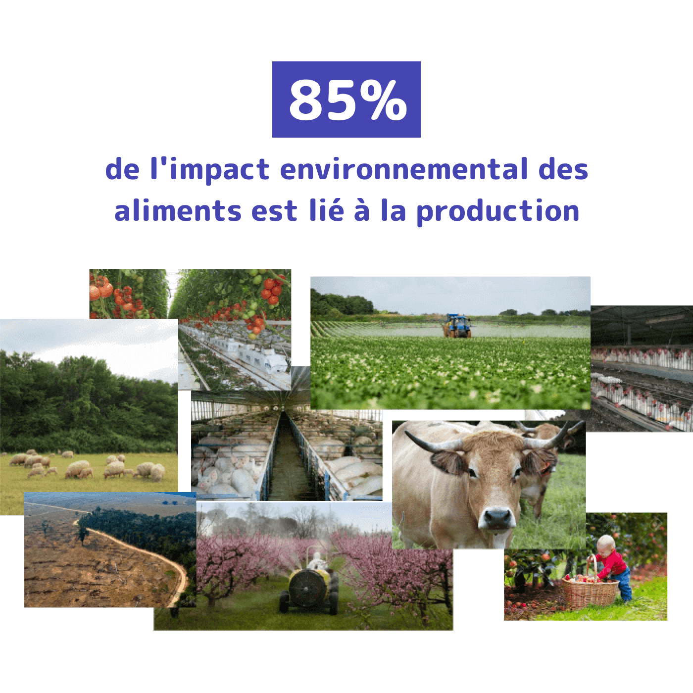 : Photo mosaïque : 85% de l’impact environnemental est lié à la production
